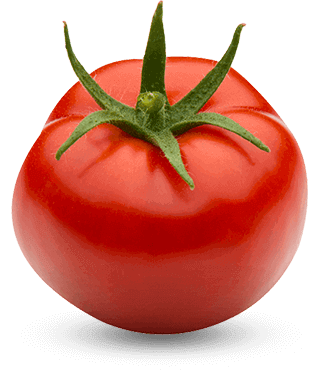 paradajky-strapcové