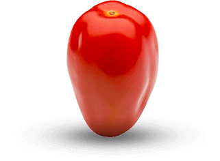 paradajky-strapcové